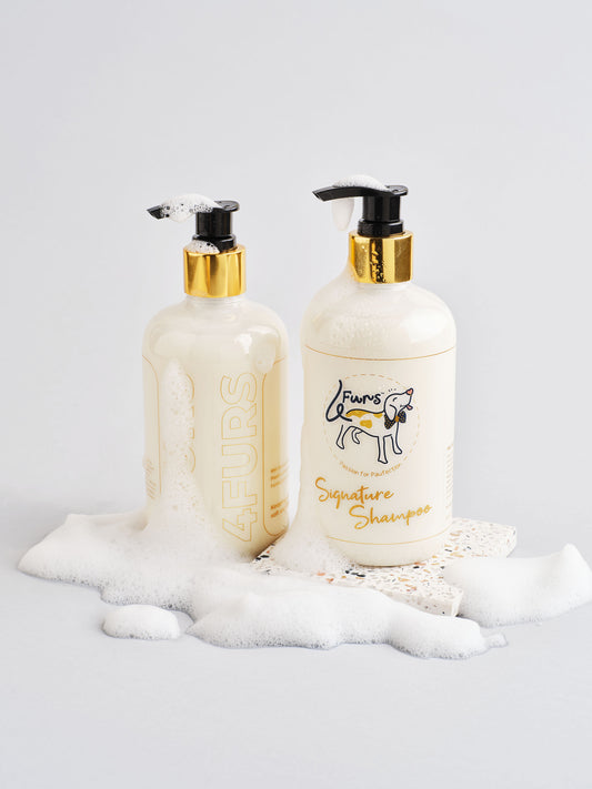 Skin & Coat Bundle