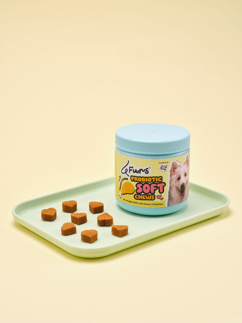 Probiotic - Chicken