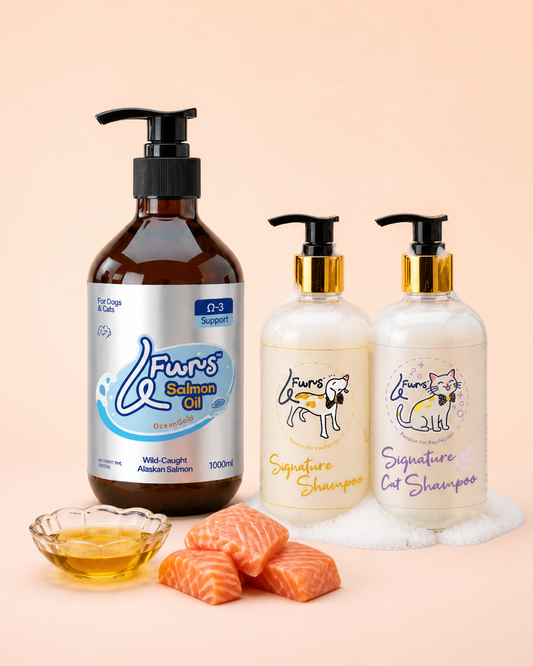 Skin & Coat Bundle