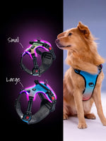 Load image into Gallery viewer, LED Dog Harness