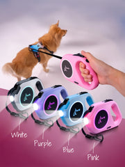 LED Retractable Leash