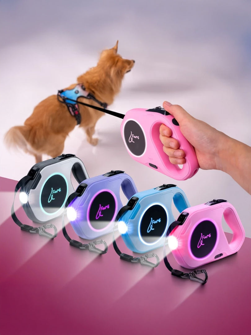 LED Retractable Leash