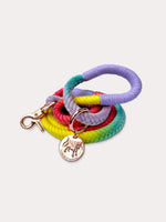 Load image into Gallery viewer, Rainbow Leash