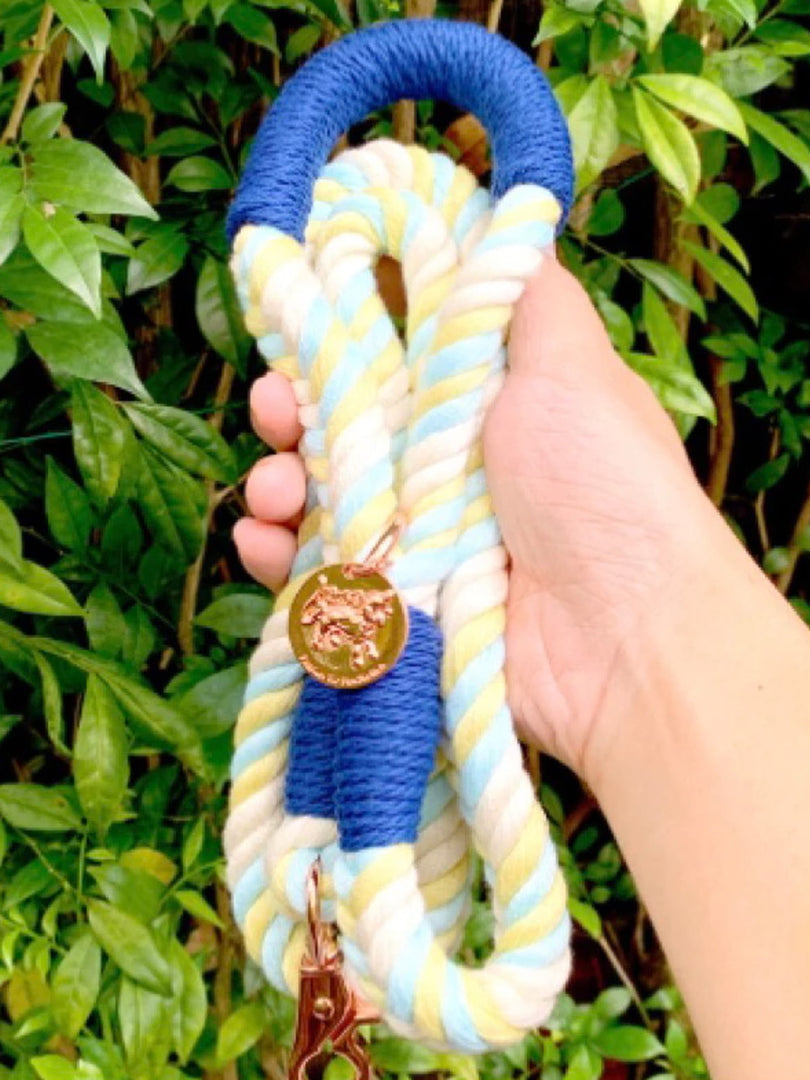 Walking on Sunshine Leash