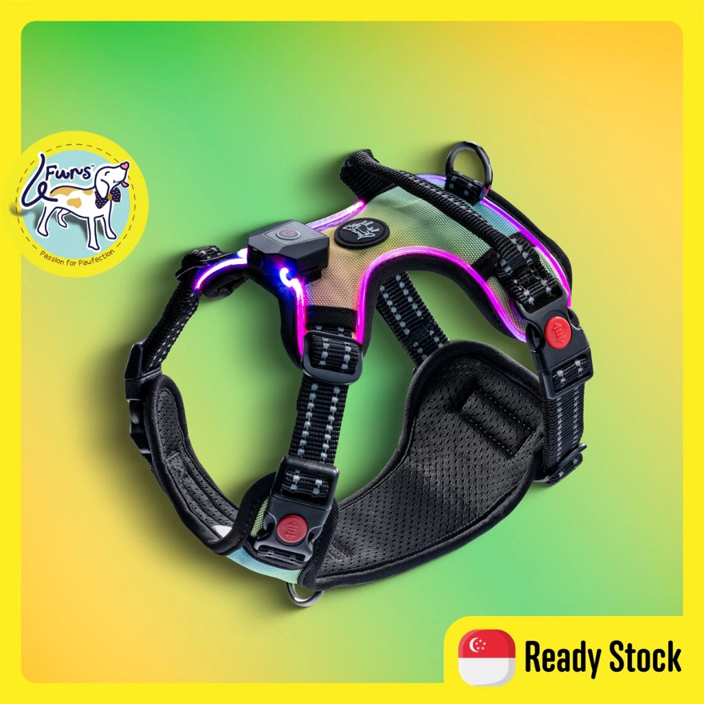 LED Dog Harness