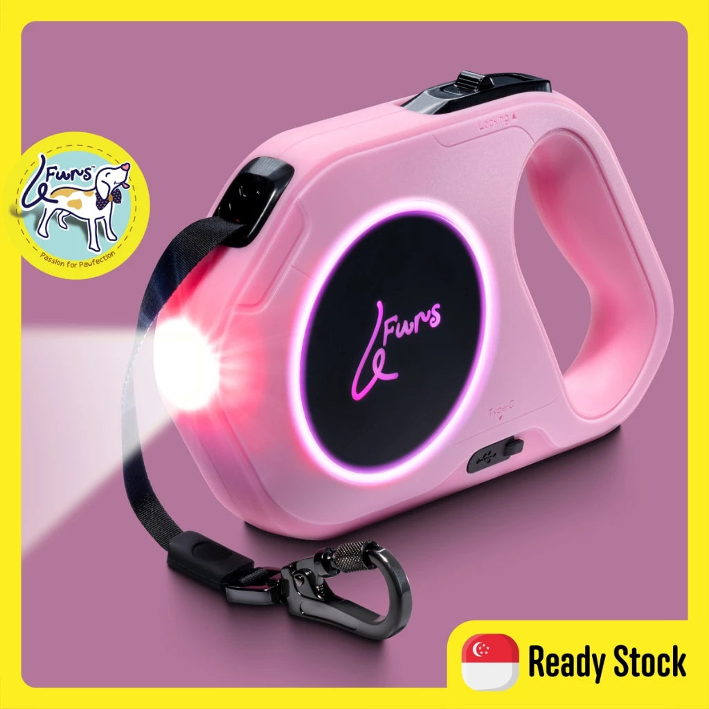 LED Retractable Leash